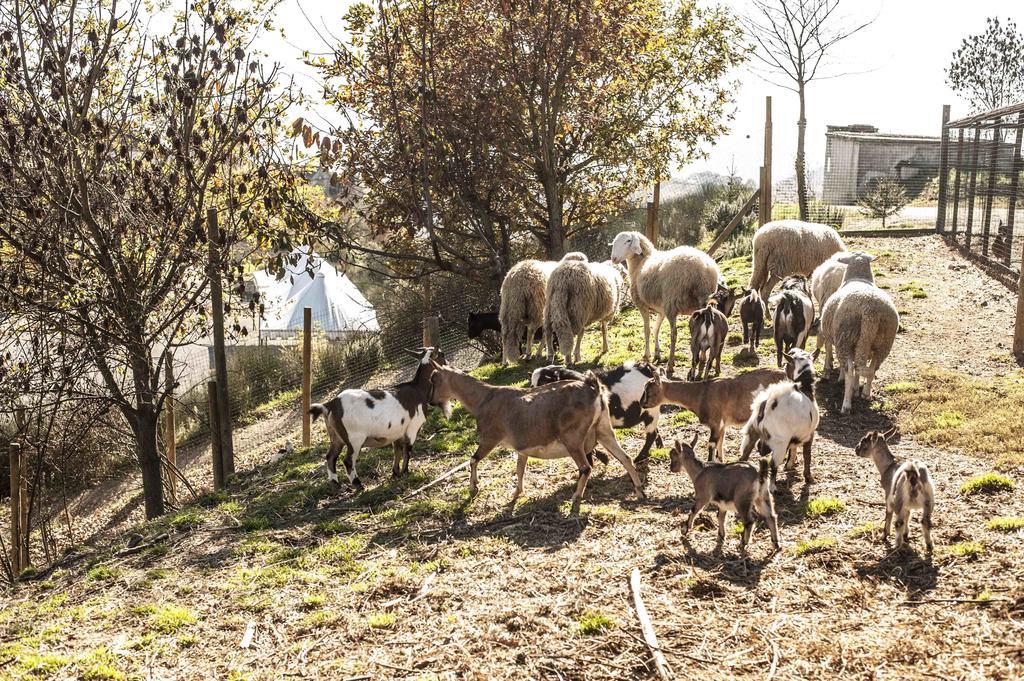 Azienda Agrituristica Alcastle Montabone Ngoại thất bức ảnh