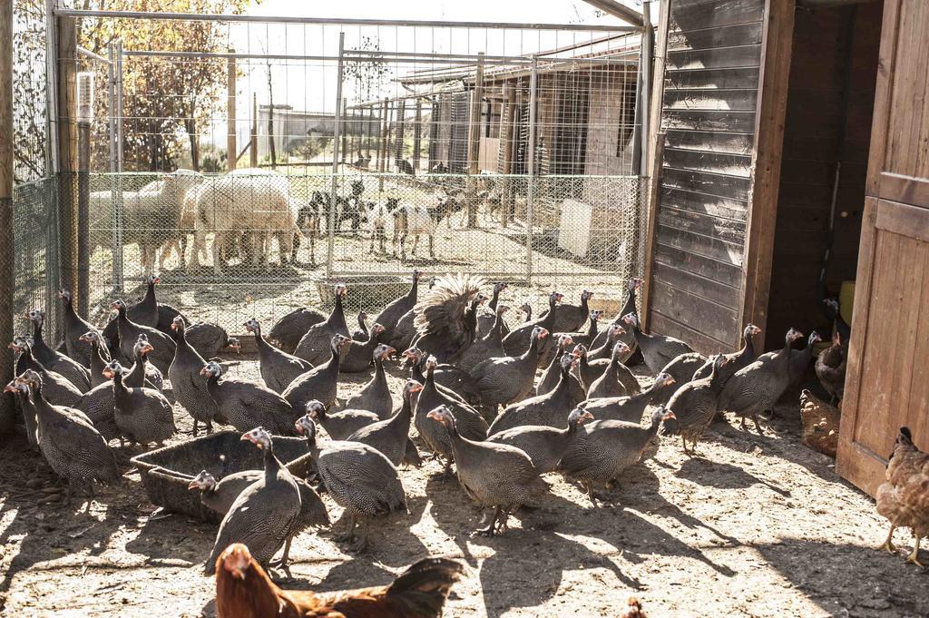 Azienda Agrituristica Alcastle Montabone Ngoại thất bức ảnh