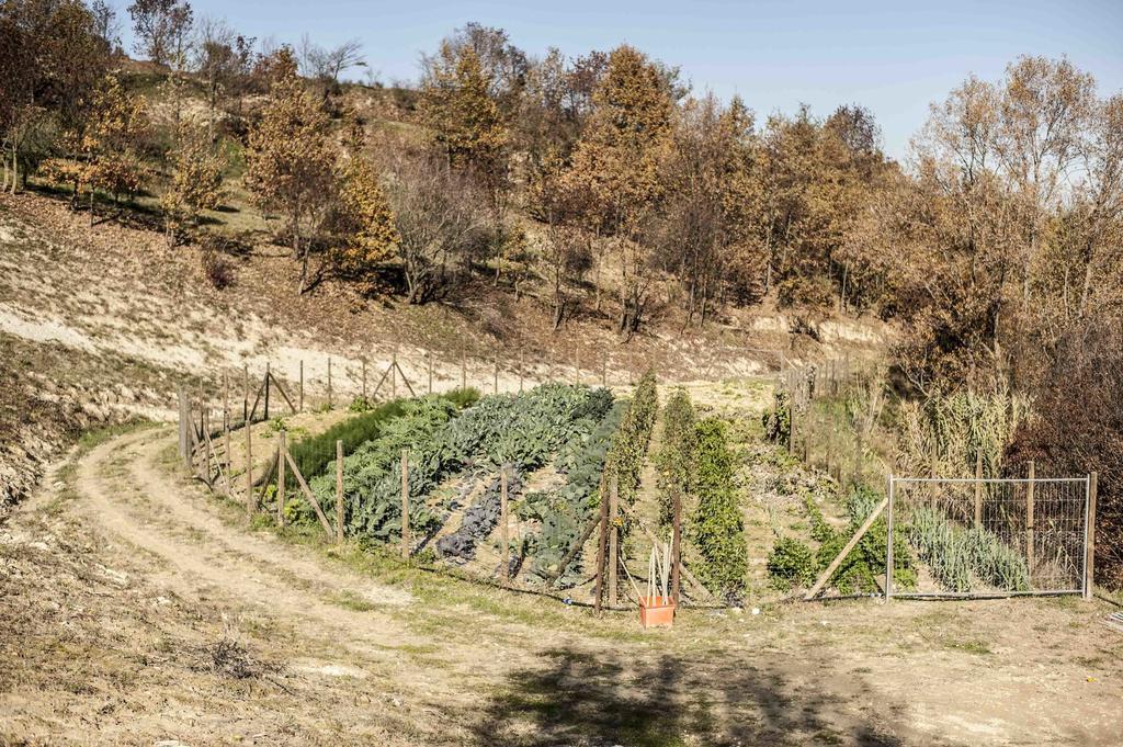 Azienda Agrituristica Alcastle Montabone Ngoại thất bức ảnh